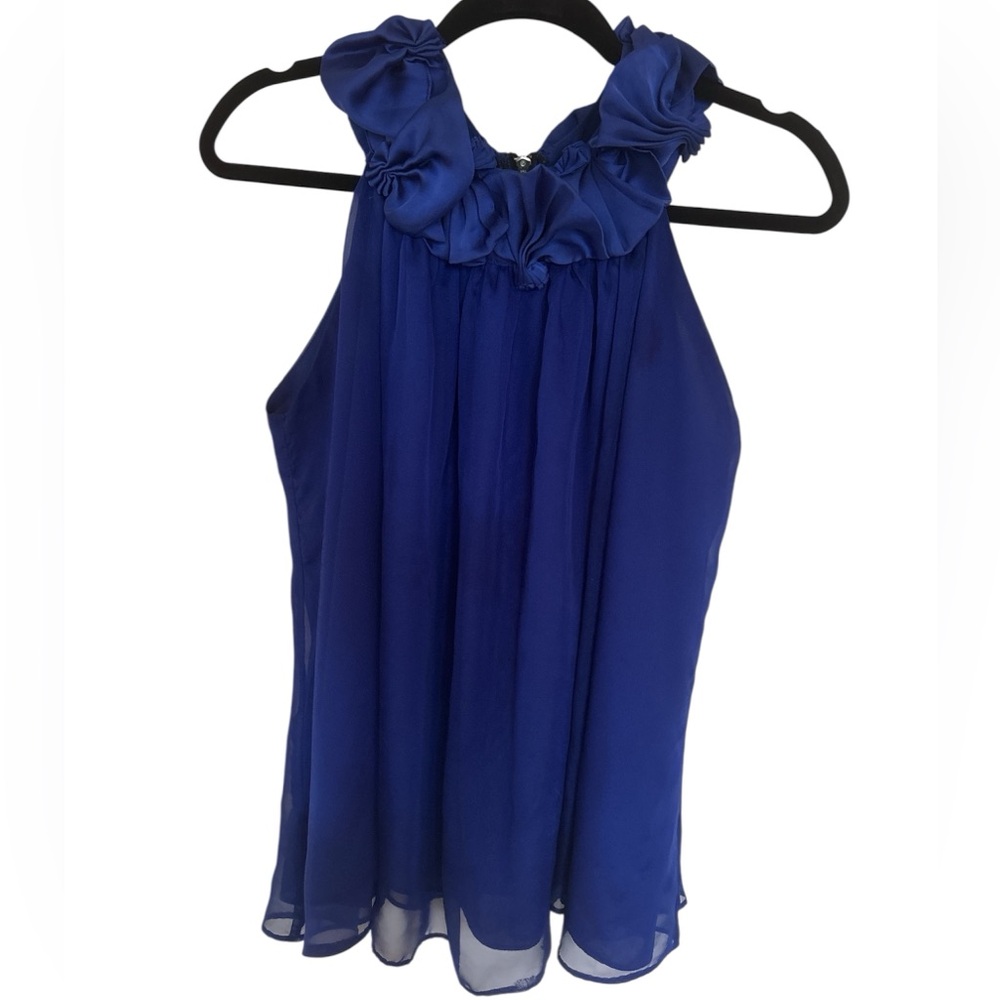 Blue Ruffled Round Neck See Thru Top back zipper floral neckline Romeo Juliet L